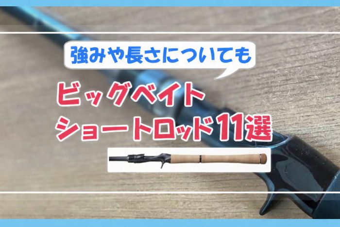 ビッグベイトショートロッド11選／ショートモデルの強みや長さについても